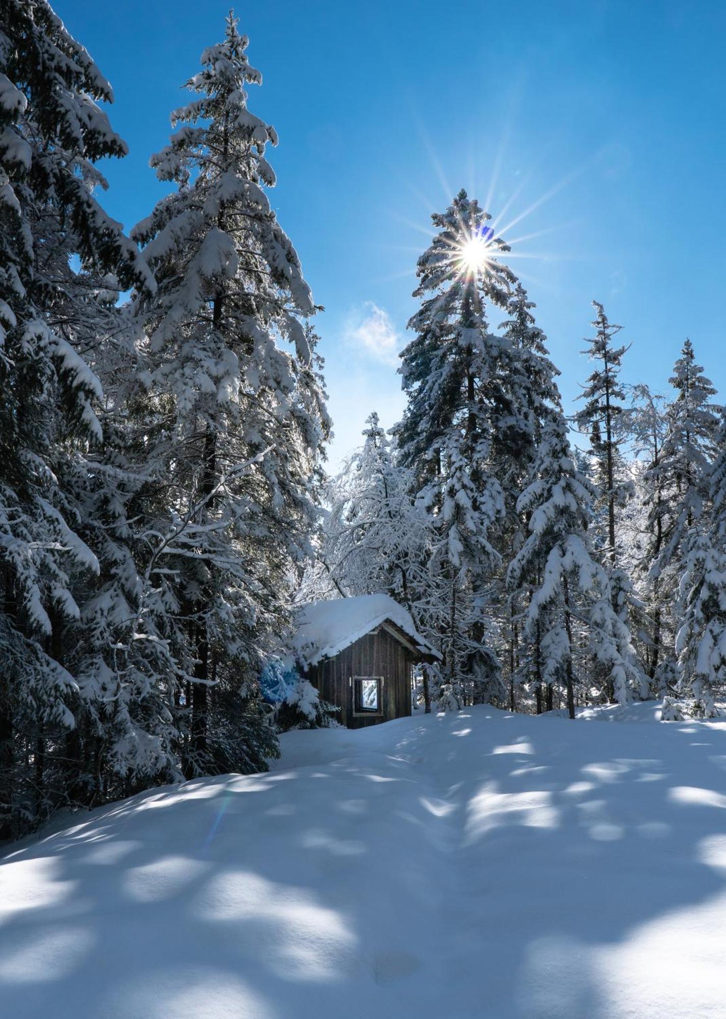 Ferienwohnung Bergpfote - Hund Herzlich Willkommen Scheidegg Exterior photo